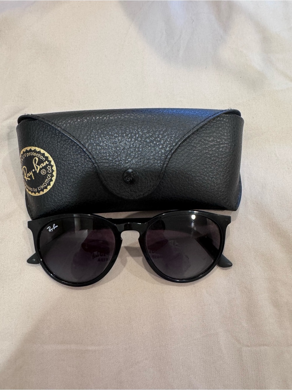 Ray-Ban Erika Style Sunglasses with Dark Lenses